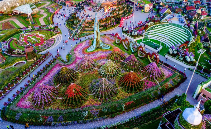     Miracle Garden